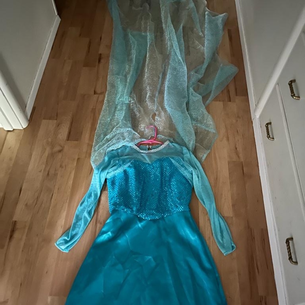 Frozen Elsa Costume and Build-a-Bear